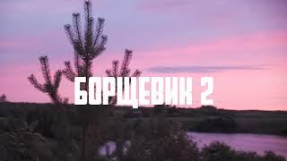 БОРЩЕВИК - 2