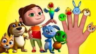 Animal Finger Family | Videogyan 3D Rhymes | Nursery Rhymes & Kids Songs