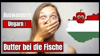 Auswanderung steht bevor  -   Zweifel kurz vor dem Start ?   - Life Update -