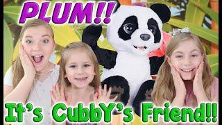 PLUM THE CURIOUS PANDA BEAR!! CUBBY'S BEST FRIEND! BFF BEARS! SPECIAL GUEST APPEARANCE!