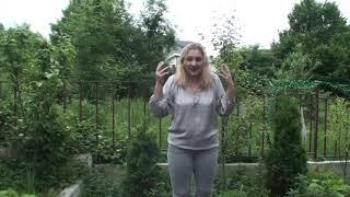 Родственники. Наживаются в основном на своих. Коррекция. Оплата приветствуется. Карта СБ 89034325533
