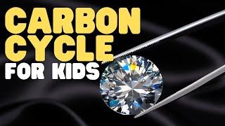 Carbon Cycle for Kids | Learn all about why carbon is vital to life on Earth