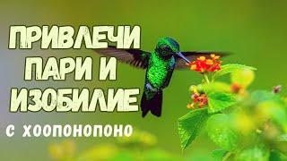 ПРИВЛЕЧИ ПАРИ - Хоопонопоно Медитация и Утвърждения за Освобождение от програми за Бедност