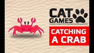 CAT GAMES -  CATCHING A CRAB (VIDEOS FOR CATS TO WATCH) 60FPS