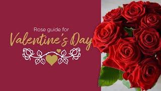 Guide to Valentine's Day Roses