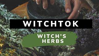 Witchtok : Herbs in Witchcraft