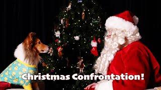 Caught on Camera: Talking Dog Confronts Santa on Christmas Eve! e380