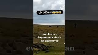 Cin Düğünü 