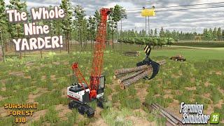 ROOT CROP DISASTER?! ON SUNSHINE FOREST #18 | Farming Simulator 25.