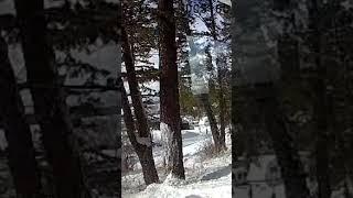 Snow Falling off the cabin ASMR