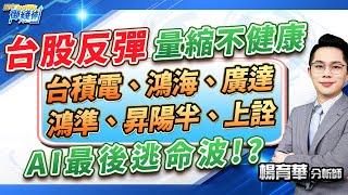 (有CC字幕)2024.11.19【台股反彈量縮不健康 台積電、鴻海、廣達 鴻準、昇陽半、上詮 AI最後逃命波!?】#楊育華 #股市御錢術