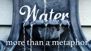 Water: More Than A Metaphor | Jon Jorgenson