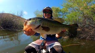 California Largemouth Bass Fishing with a Popper! (Old Town Kayak)