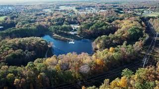 Autumn Leaves - Tilghman Lake Park - La Plata, Maryland