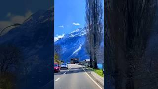 HUGE NATURE #tatamendezbisaya #viral #trending #shorts #short #4k #funny #nature #youtube