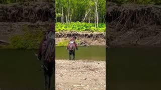 Рыбалка на Дальнем Востоке. Медведь украл улов. #медведь #рыбалка