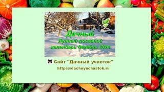 Лунный посевной календарь на декабрь 2024 года для садоводов и огородников