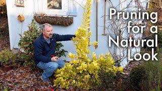 How to Prune Plants for a Natural Look