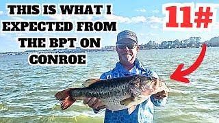 What Should Have Happened at the MLF BPT on Conroe!!!!!!!!!!!