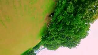 Ripping one of two Daily spots Mataatua marae. FPV freestyle is the BEST