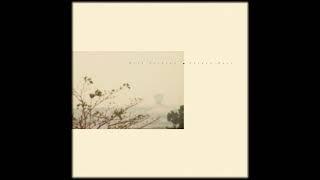 Wild Nothing - Golden Haze (Full Album)