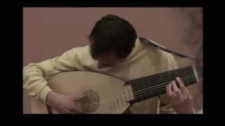 Lute music: Electric Lute by jminstruments