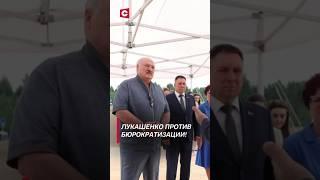 Лукашенко: Какой ты бюрократ стал! #лукашенко #новости #политика #беларусь #президент