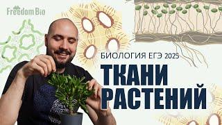 ТКАНИ РАСТЕНИЙ для ЕГЭ по БИОЛОГИИ |Ботаника| ЕГЭ БИОЛОГИЯ 2025|Freedom|