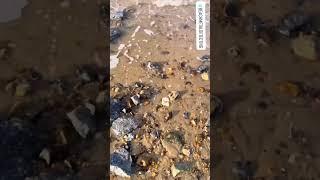 Can’t metal detect on a beach without finding one