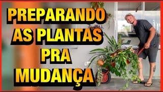 COMO SE MUDAR com TANTA PLANTA?  | Henrique Buttler