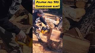 Poulan Pro Super 380,60cc,Shakedown Run!! 330 3450 3750 365 3500