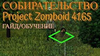 Новое собирательство в Project Zomboid 41.65 Часть 1 | Гайд