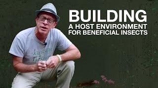 Building A Host Environment For Beneficial Insects with Paul Zimmerman