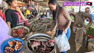 ตลาดลาวขายสัตว์ป่าหากินยาก ของป่าหลายคัก สปปลาว