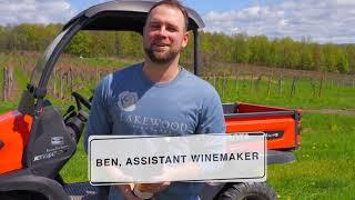 Lakewood Vineyards - Riesling