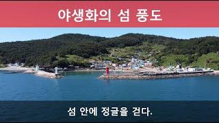 E12 백패킹 풍도 - 무자막