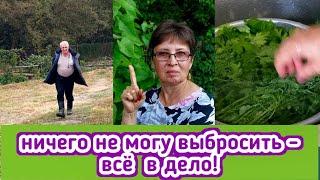 У меня всё в дело идет - все, что нашла перекрутила и в банки! муж ругает за тыквы и поливает огород