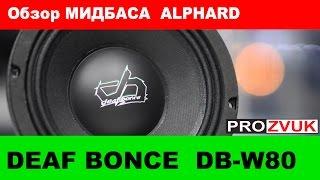 Мидбас ALPHARD DEAF BONCE DB-W80