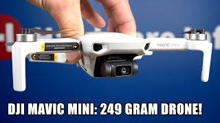 DJI Mavic Mini review: Vliegende camera van 249 gram!