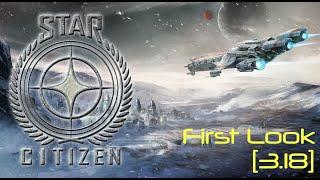 Star Citizen 3.18 - How Do I Fly?