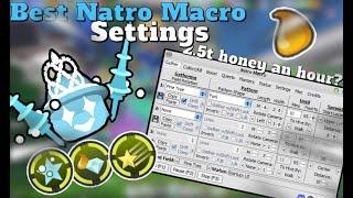 BEST 2024 Natro Macro Settings for BLUE hives!