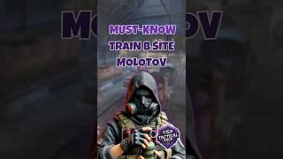 Perfect Molotov for Connector  | CS2 Tips on Train #cs2train #trainsmokes #cs2utility