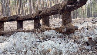 ПОИСК МЕТАЛЛА В УРАЛЬСКИХ ЛЕСАХ.  ЧТО ЕЩЕ МОЖНО НАЙТИ?