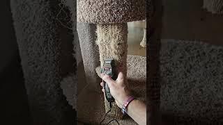 How to clean up sisal cat post