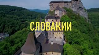 Бесплатное образование в Словакии   Slovak Agency