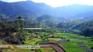 yellapatty In Munnar