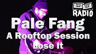 Pale Fang | Lose It | A Rooftop Session