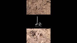  Big Bucks & Big Potential | Crawford County, KS Dream Farm! 