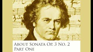 Lesson on Sonata Op. 2 No. 3: First movement