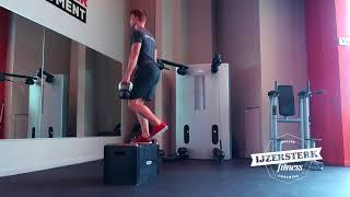 High Step Up Weighted Kettlebells